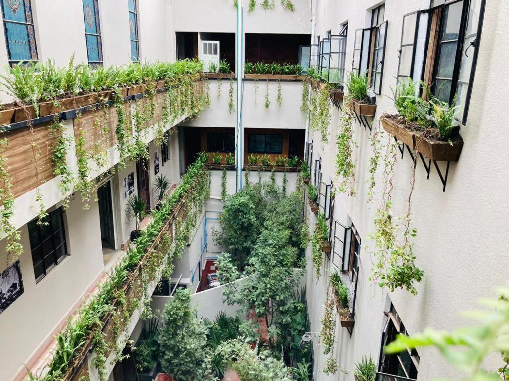 Frontera 49 Roma Norte Hostal Mexico City Exterior photo